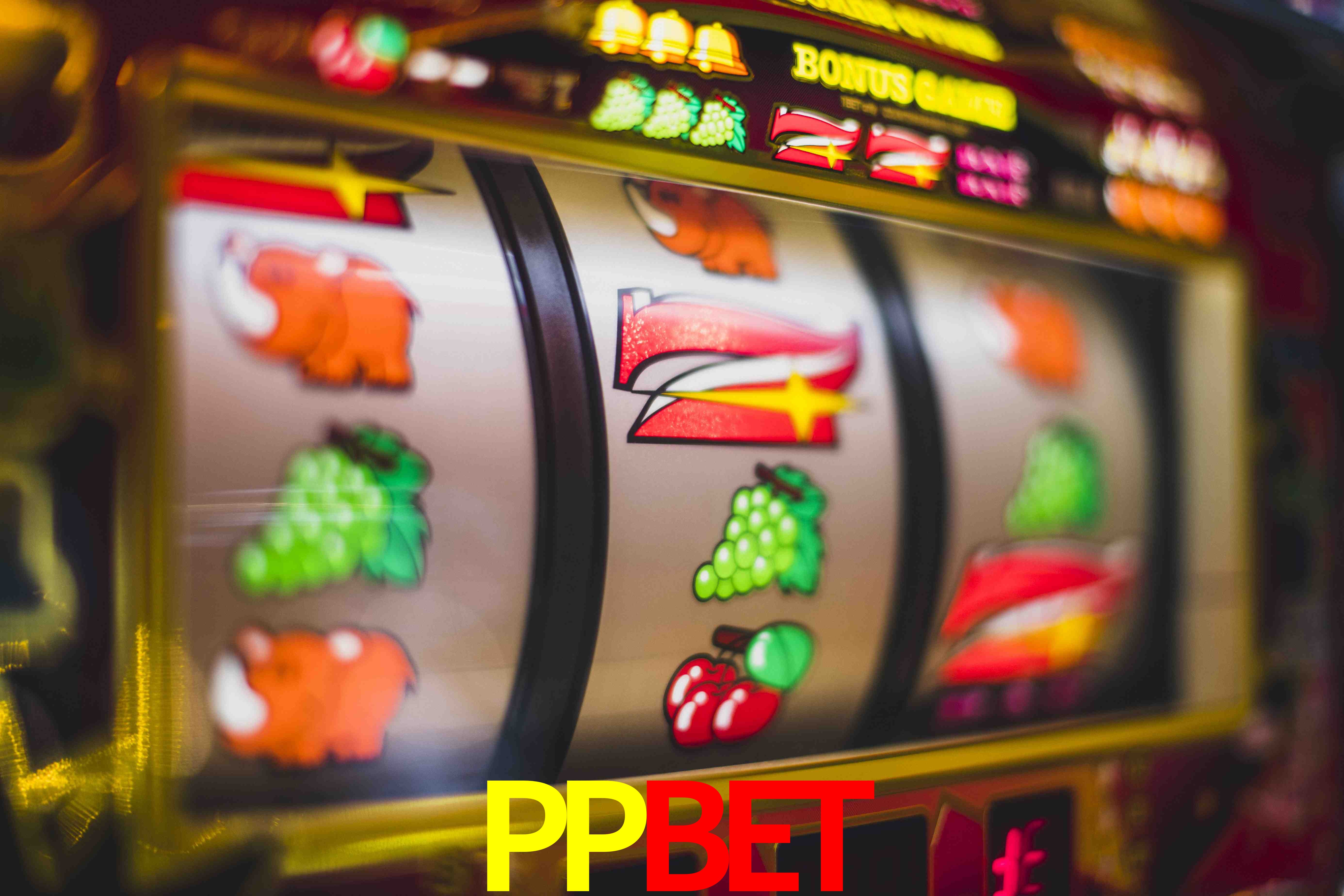 Tennis Betting PPBET